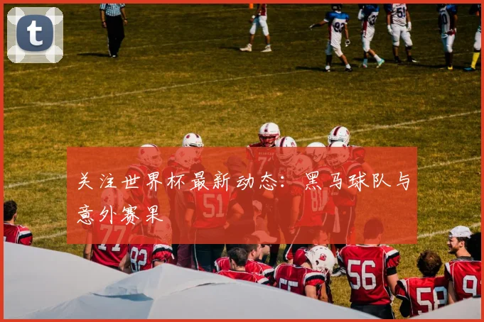 关注世界杯最新动态:黑马球队与意外赛果